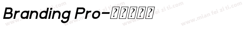 Branding Pro字体转换